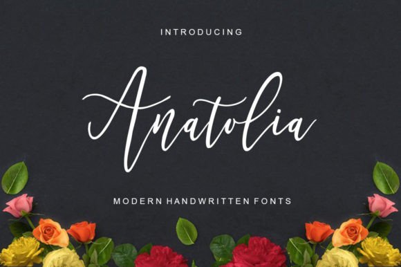Discover Anatolia: A Versatile Script Font for Web Design