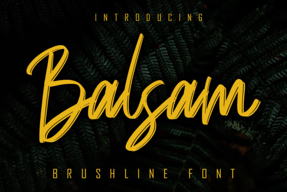 Discover Balsam: A Handwritten Font for Web Design