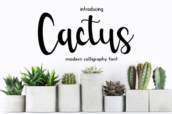 Discover Cactus: A Handwritten Font for Elegant Web Design
