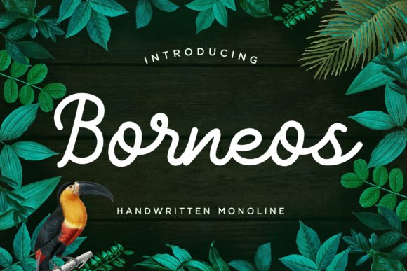Discover the Charm of Borneos: A Perfect Handwritten Font