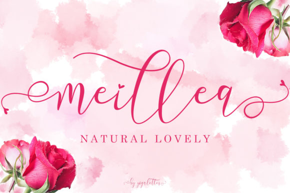 Meillea: A Handwritten Font for Elegant Web Design