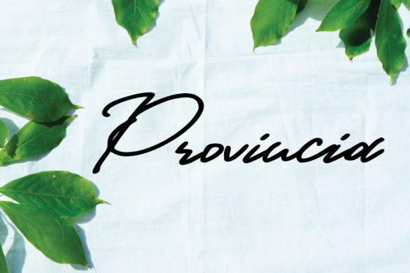 Provincia: The Perfect Handwritten Font for Web Design